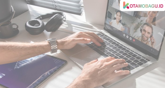 Remote computer consulting services